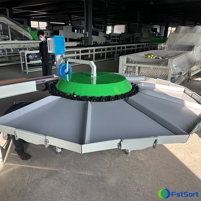 images/1703750379267fruit weight grader.jpg